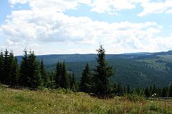 dsc06819