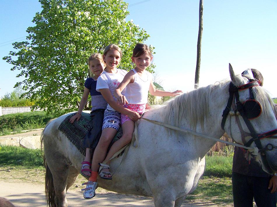 Sarerdo092