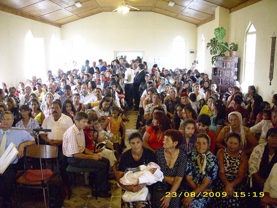 dsci0217