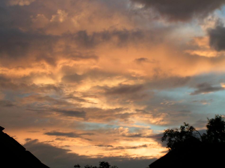 pict0199